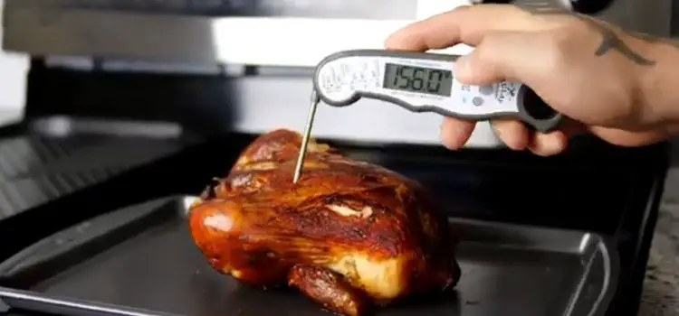 Best Meat Thermometer for Green Egg